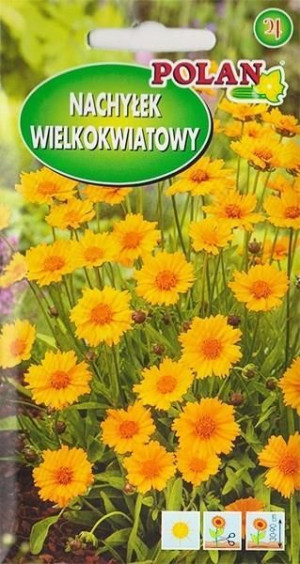 Polan Nasiona Nachyłek Sunburs Złoto Żółty 1 G