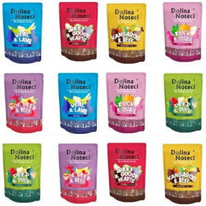 DOLINA NOTECI SUPERFOOD Mix Smaków 12x300g ZESTAW