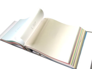 Folia błyszcząca z systemem harpun kolor L317 (sufit napinany)