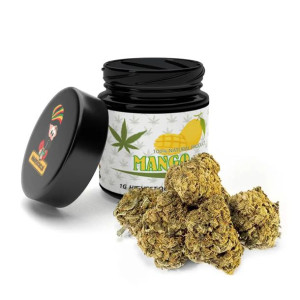 Susz konopny cbd Mango 1 gram Lokalny zielarz