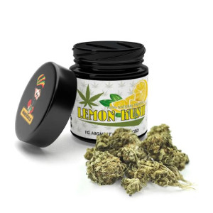Susz konopny 6% Cbd lemon kush 1 gram Lokalny zielarz