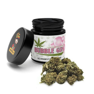Susz konopny 5% cbd Bubble gum 1 gram Lokalny zielarz