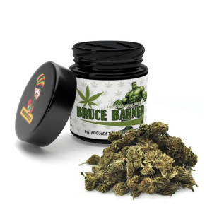 Susz konopny 6% CBD Bruce Banner 1g Lokalny zielarz