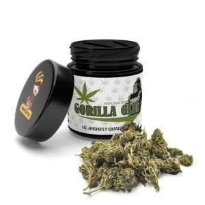 Susz konopny CBD Gorilla glue 1 gram Lokalny zielarz