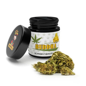Susz konopny CBD Buddha 1g Lokalny zielarz