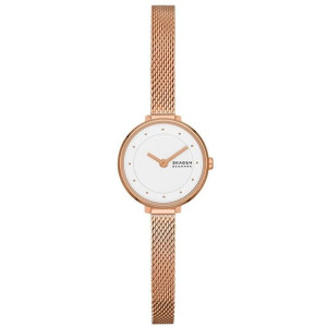 Zegarek Damski Skagen GITTE LILLE (Ø 22 mm)