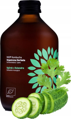 Kombucha Ogórek Kolendra 330ml