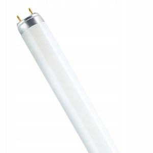 OSRAM Świetlówka G13 10W