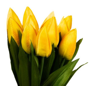Tulipany w bukiecie żółty 12 gałązek
