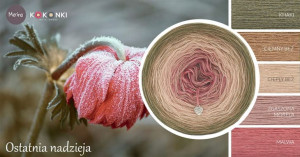 Włóczka KOKONEK Merino 601 MIX Ostatnia nadzieja -