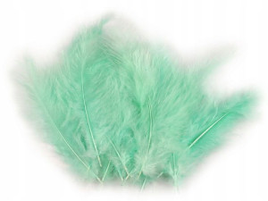 Pióra strusie 9-16 cm / mięta / 20 sztuk