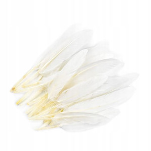 Pióra kacze / biel / 9-14cm / 20szt.