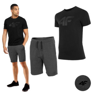 Komplet Męski 4f Koszulka T-shirt Spodenki S