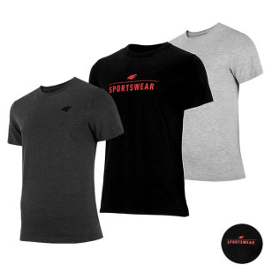 Komplet Męski 4f Koszulka T-shirt Zestaw 3pak