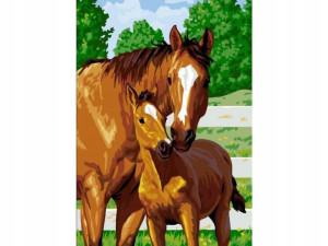 Malowanie Po Numerach 40x50 Cm Źrebak +akcesoria