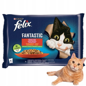 FELIX Karma mokra SASZETKI MIĘSO Z WARZYWAMI 4x85g