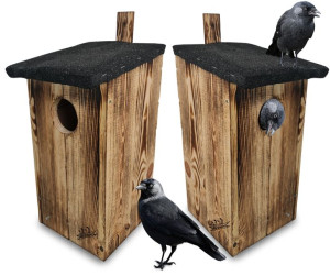 2x Duża Budka Lęgowa z Drewna Eko Schron Dla Dużych Ptaków BLK1 OPAL x2