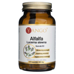 Yango Alfalfa Lucerna siewna - 60 kapsułek