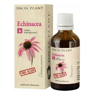 Dacia Plant Bez alkoholu Ekstrakt Echinacea dla dzieci ODPORNOŚĆ 50ml
