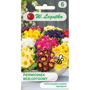 Legutko Nasiona Pierwiosnek Bezłodyg Mix 0,1g