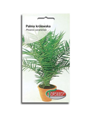 Torseed Nasiona Palma Królewska 4g