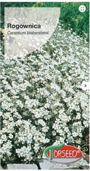 Torseed Nasiona Rogownica Biała 0,5g