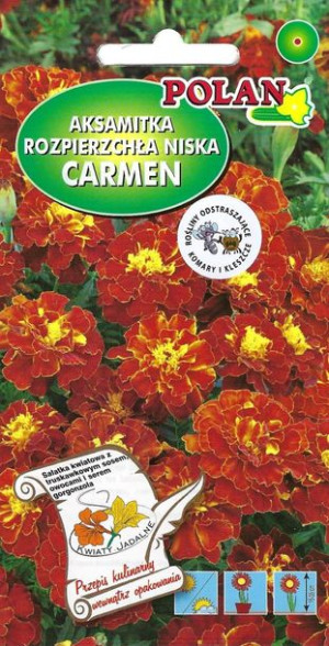 Polan Nasiona Aksamitka Niska Carmen 1 G