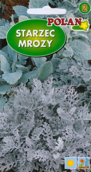 Polan Nasiona Starzec Popielaty Mrozy 0,5g