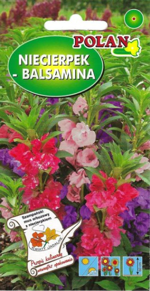 Polan Nasiona Niecierpek Balsamina Mix 2g