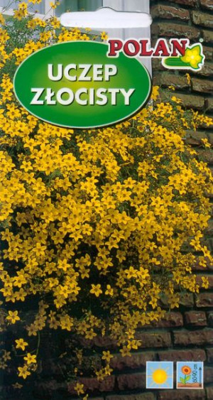 Polan Nasiona Uczep Złoty Deszcz 0,2g