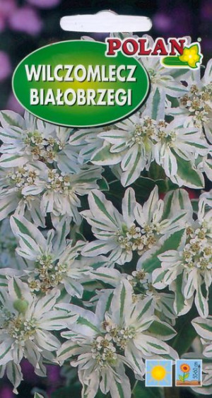 Polan Nasiona Wilczomlecz Białobrzegi 1g