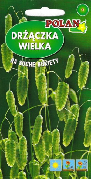 Polan Nasiona Trawa Ozdobna Drżączka 1g