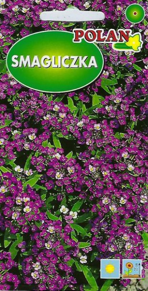 Polan Nasiona Smagliczka Nadm Royal Carpet 1g