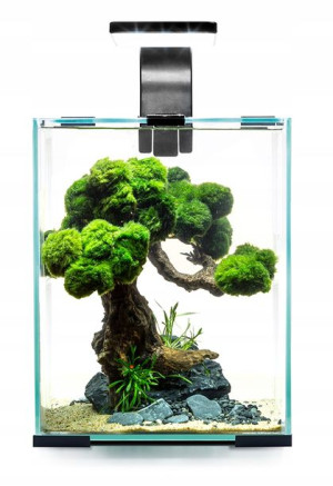 Aquael Shrimp Set 30 Czarny Day&night 29x29x35