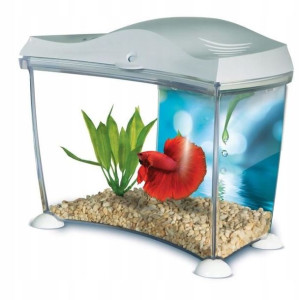 Akwarium Dla Bojownika Rybki Marina Betta Kit 6,7l