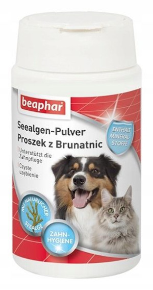 Beaphar 12742 Dental Power 75g Proszek z Brunatnic