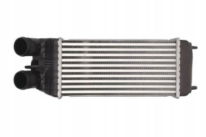Thermotec Dap003tt Chłodnica Powietrza Citroën C3