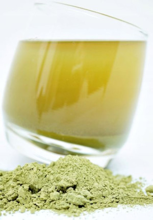 MATCHA 250 g herbata zielona sproszkowana 1 jakość