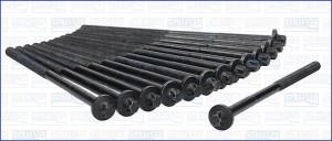 AJUSA 81041600 Zestaw żrub głowicy cylindrów