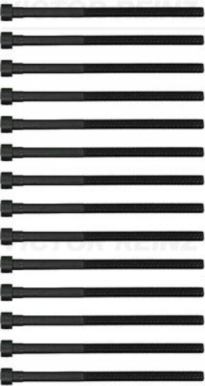 REINZ 14-12261-03 Zestaw żrub głowicy cylindrów