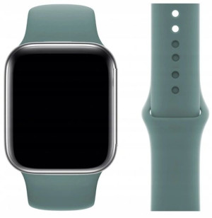 Pasek Do Apple Watch 3 4 5 6 7 Se 38 40 41 Mm