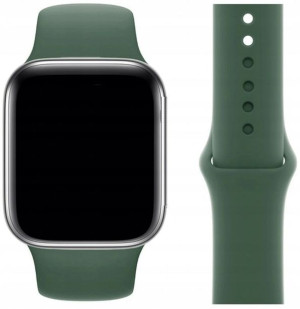 Pasek Do Apple Watch 3 4 5 6 7 Se 38 40 41 Mm