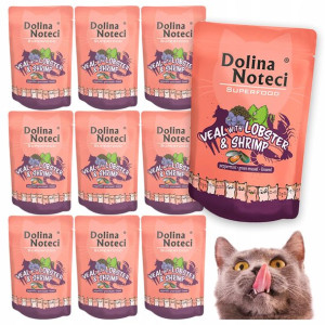 Dolina Noteci Superfood Saszetki Dla Kota 10x85g
