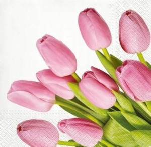 Serwetki Tulipany 33x33cm 20szt