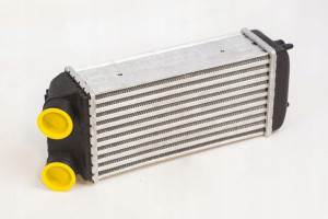 Loro 038-018-0002 Intercooler Peugeot 206 Cc