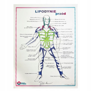 Tablica Anatmiczna Plakat Lipodynie Przód