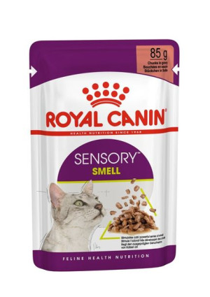 Karma Royal Canin Sensory Smell gravy 12x85g