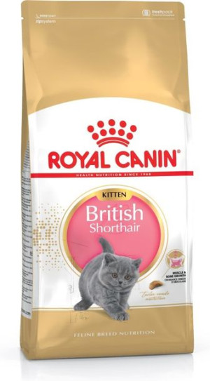 Karma Royal Canin FBN Kit Brit Shorth (2 kg )