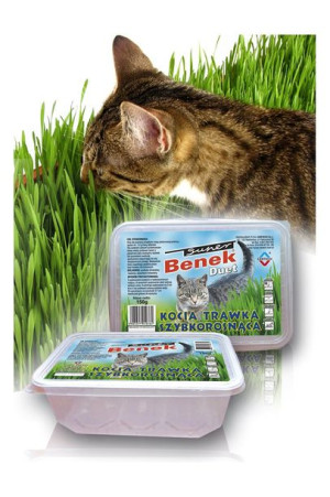 CERTECH Trawka szybkorosnąca dla kota 150g
