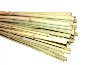 Bambus Tyczka bambusowa 120 cm (12-14 mm) x25szt